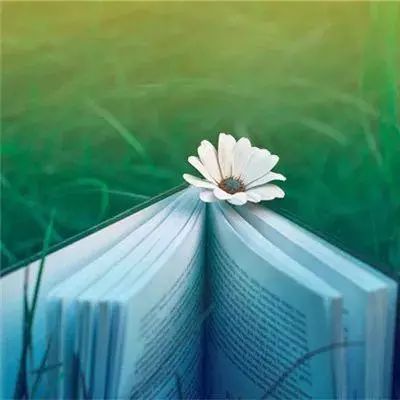 靠霸英雄官方版下载